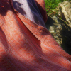 Wohndecke | 100% Bio-Baumwolle | Design 64 Doubleweave | Farbe: Orange / Lila